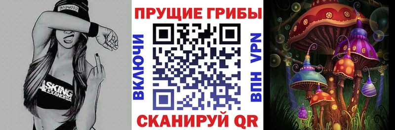 Купить  Каргат  Псилоцибиновые грибы Magic Shrooms 